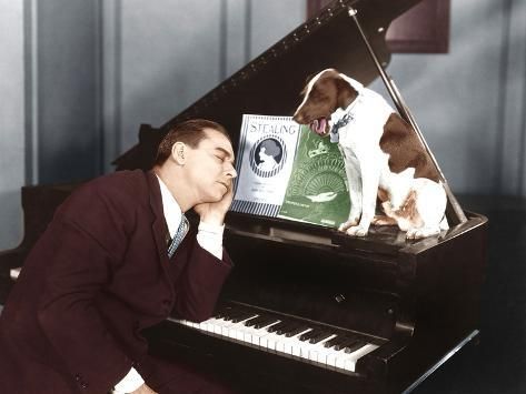Man asleep at a piano while dogs look at sheet music